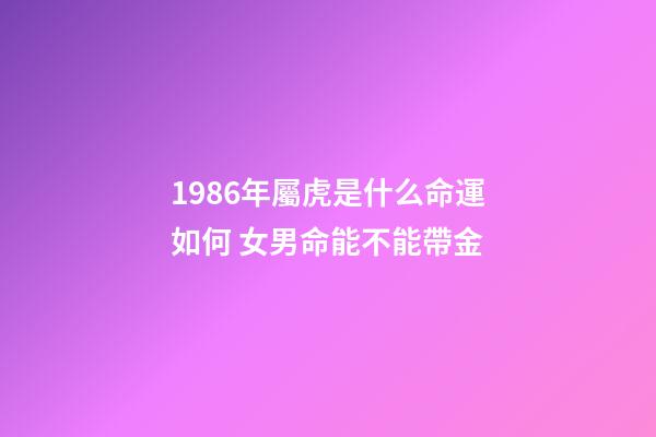 1986年屬虎是什么命運如何 女男命能不能帶金